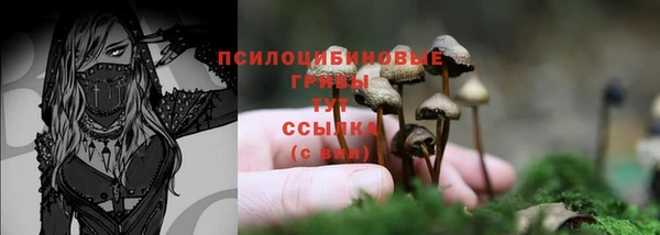 бошки Яровое