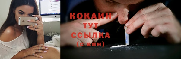 экстази Гусев