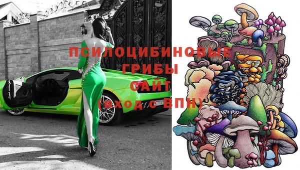 меф Гусиноозёрск