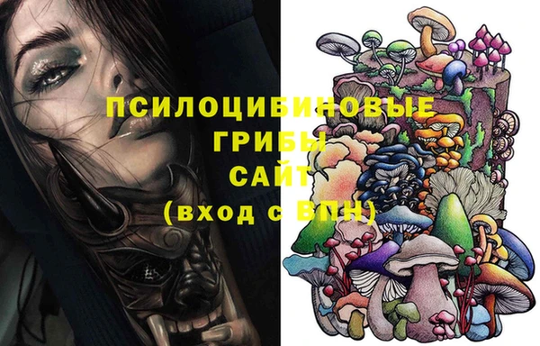 экстази Гусев