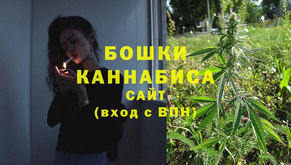 экстази Гусев