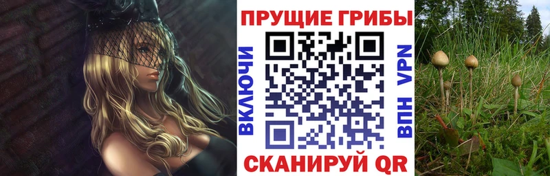 Галлюциногенные грибы мицелий  Нязепетровск 